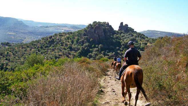 passeggiate cavallo