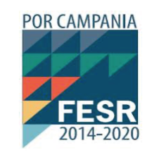 logo Por Fesr